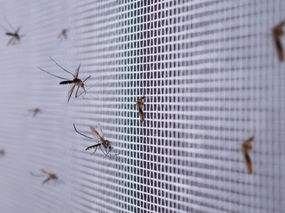 About Termite Treatment Inola - termite treatment experts in Inola
